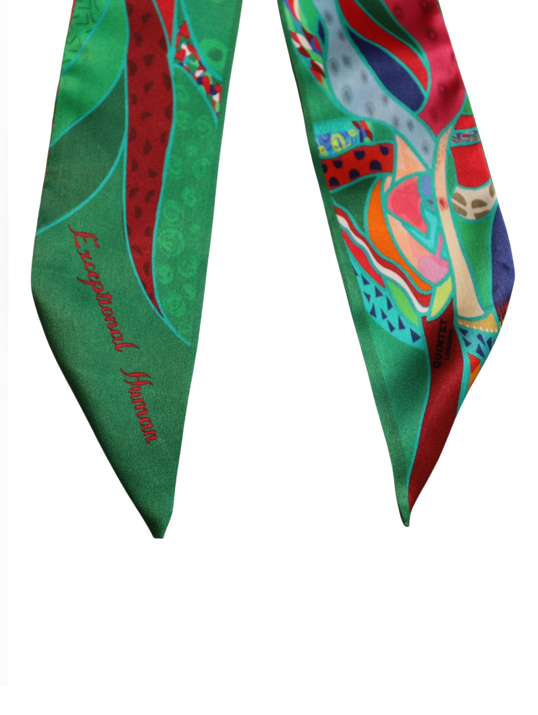 Signature Ribbon Scarf - Exceptional Human